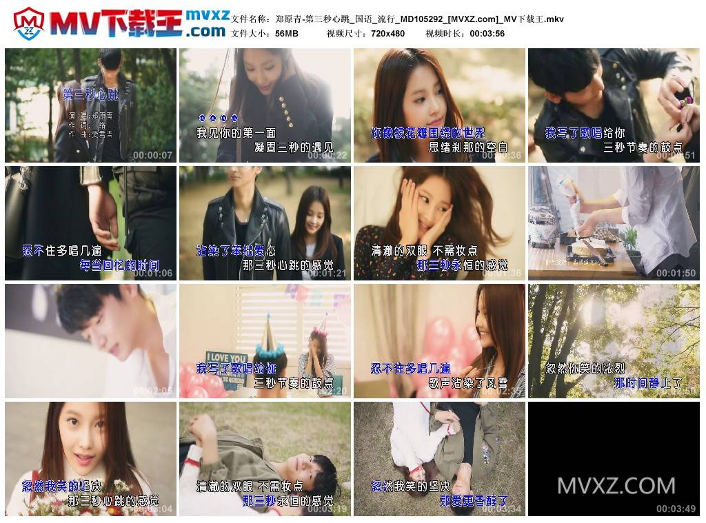 郑原青-第三秒心跳_国语_流行_MD105292